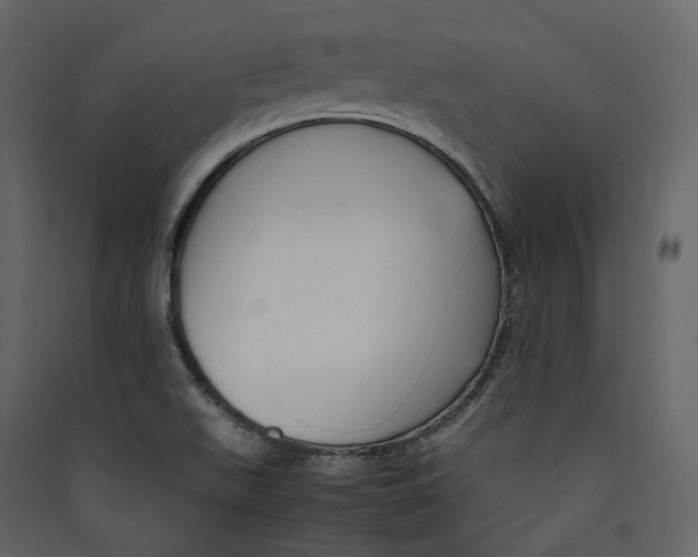 X0000089411511200707131750