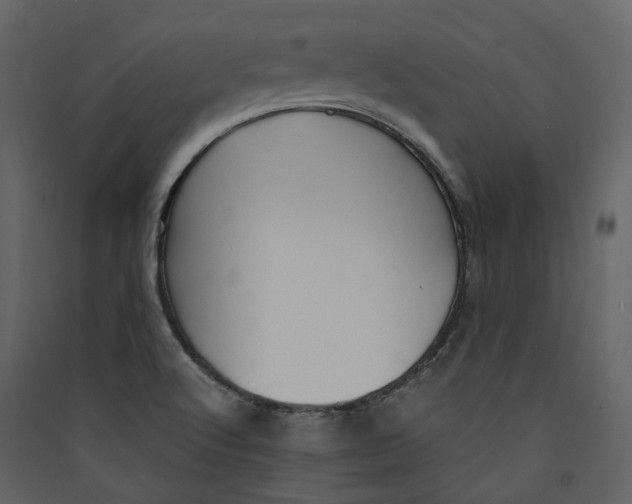 X0000089411512200707131750