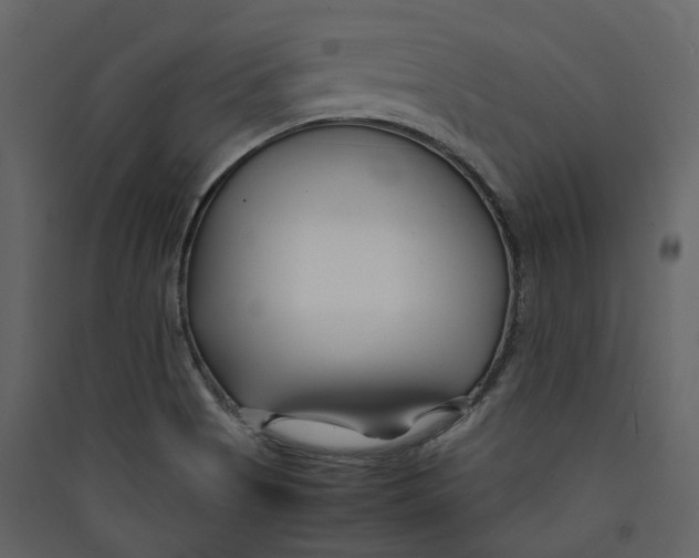 X0000089411513200707131750