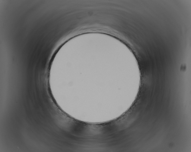 X0000089411514200707131750