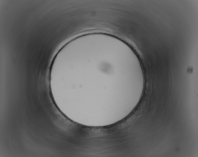 X0000089411516200707131750