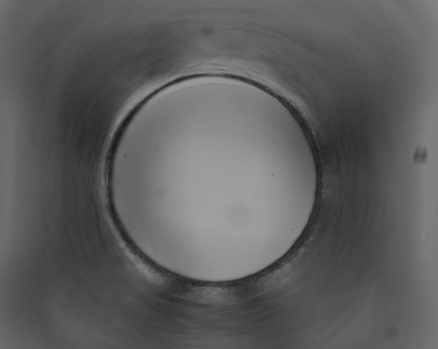 X0000089411517200707131750