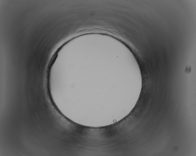 X0000089411518200707131750