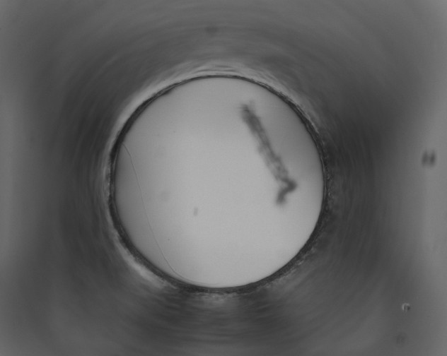 X0000089411519200707131750