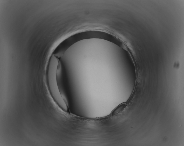 X0000089411520200707131750