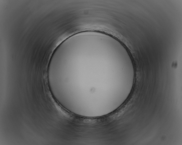X0000089411521200707131750