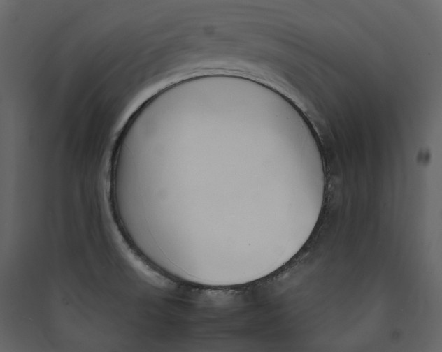 X0000089411523200707131750