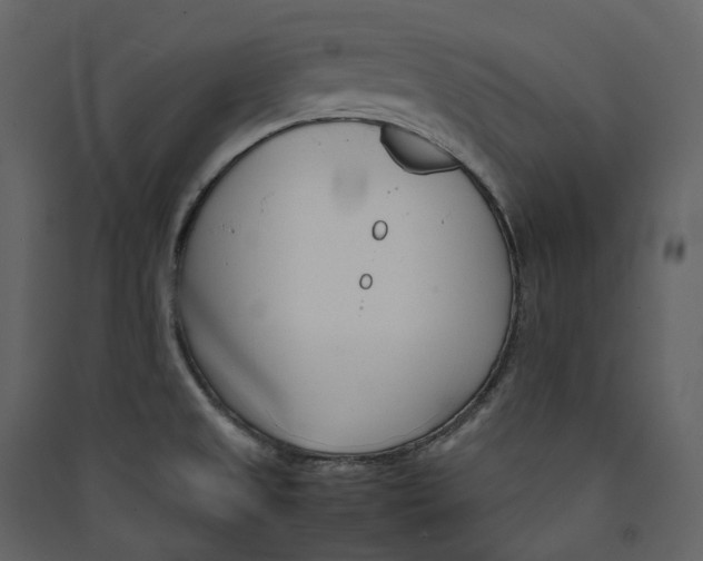 X0000089411525200707131750