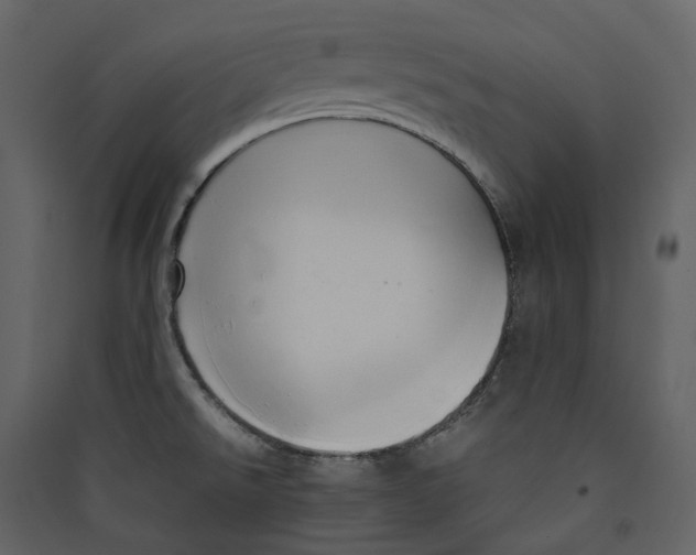 X0000089411526200707131750