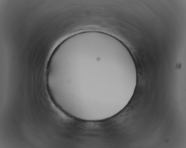 X0000089411527200707131750