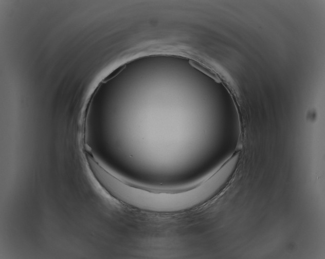X0000089411528200707131750