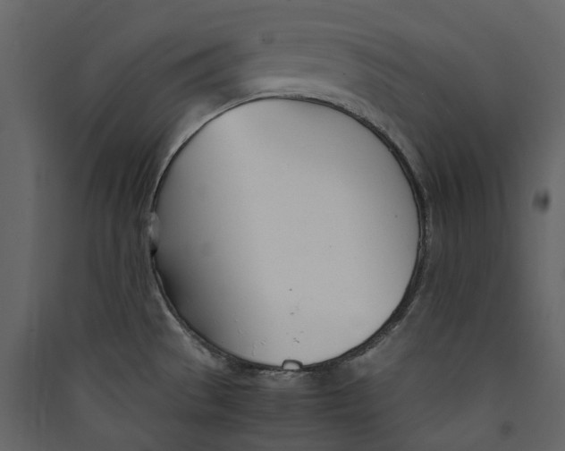 X0000089411529200707131750