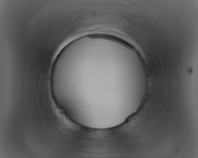 X0000089411530200707131750