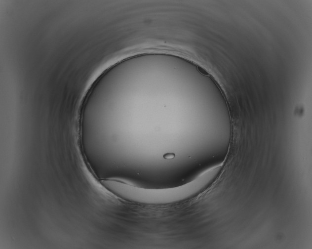 X0000089411531200707131750