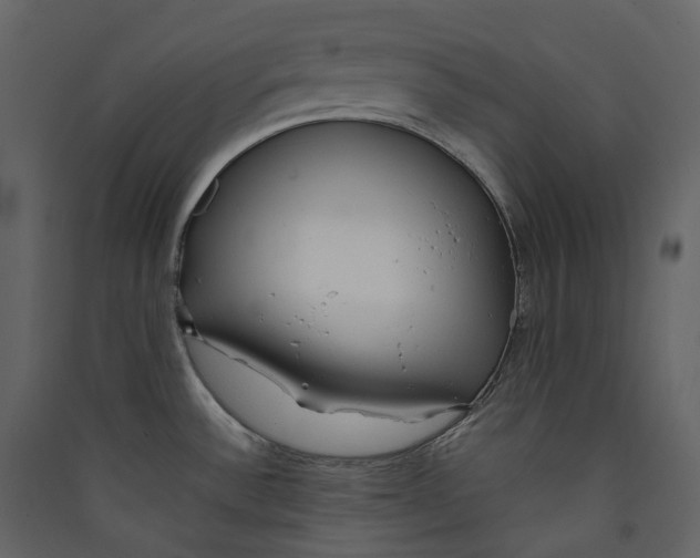 X0000089411532200707131750