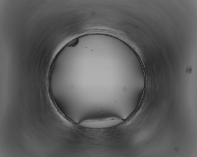 X0000089411533200707131750