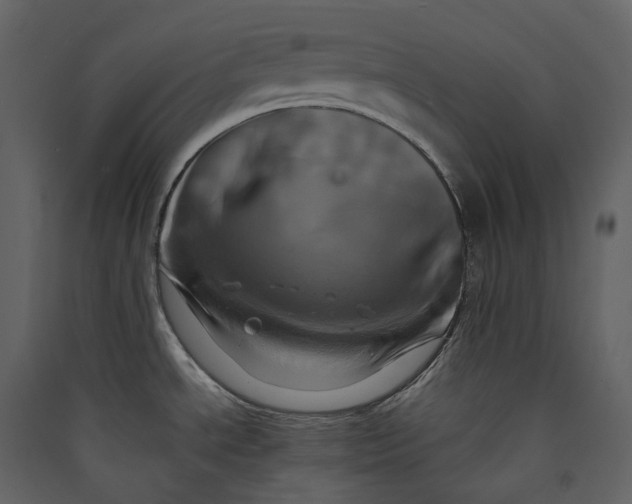 X0000089411534200707131750