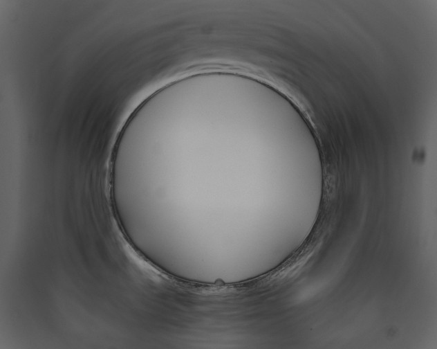 X0000089411535200707131750