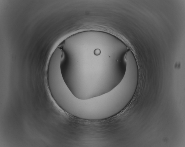 X0000089411536200707131750