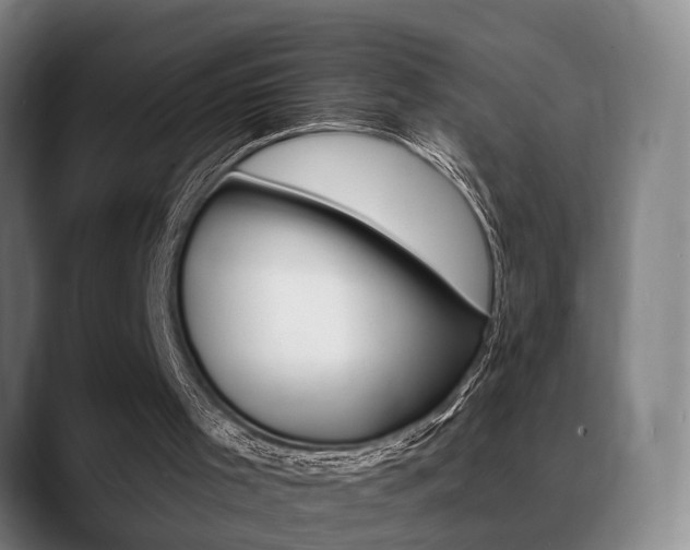 X0000089420001200706151012