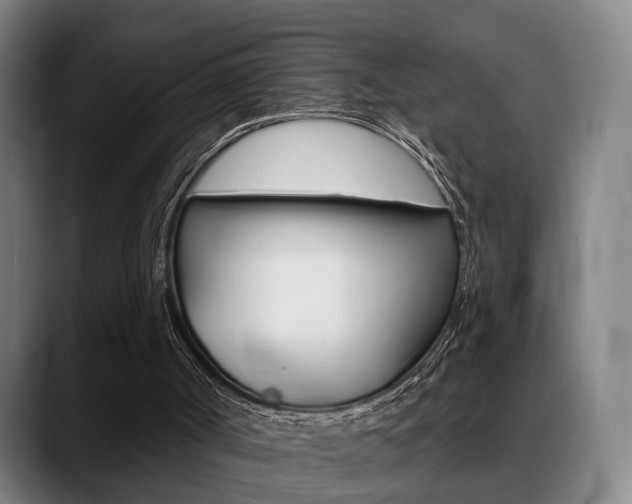 X0000089420002200706151012