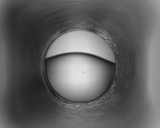 X0000089420003200706151012
