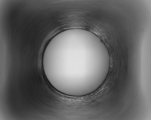 X0000089420004200706151012