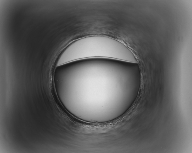X0000089420005200706151012