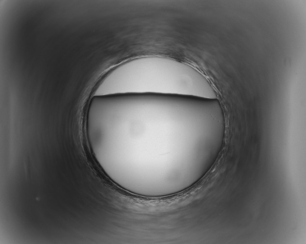 X0000089420006200706151012