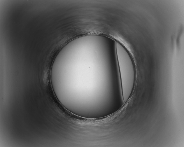 X0000089420009200706151012