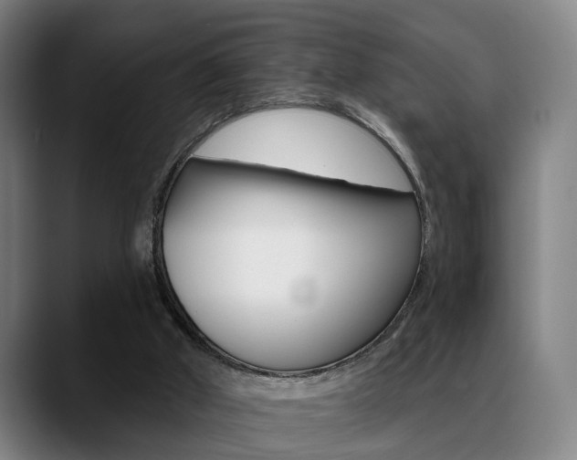 X0000089420010200706151012