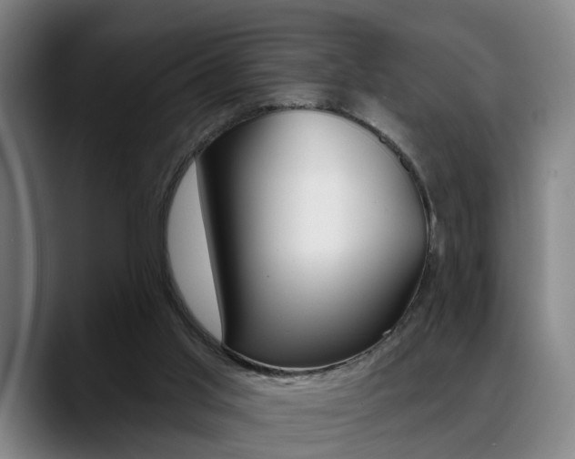 X0000089420013200706151012