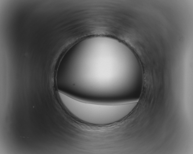 X0000089420015200706151012