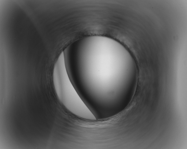 X0000089420017200706151012