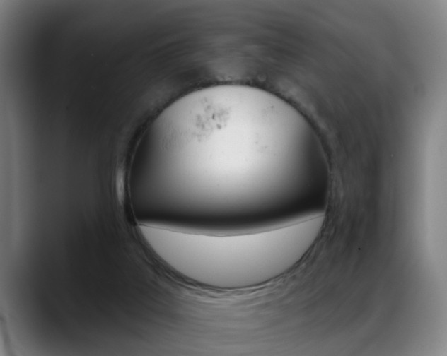 X0000089420019200706151012