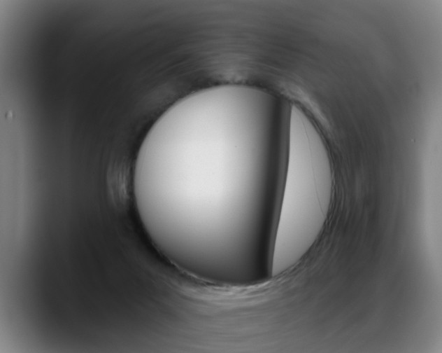 X0000089420023200706151012