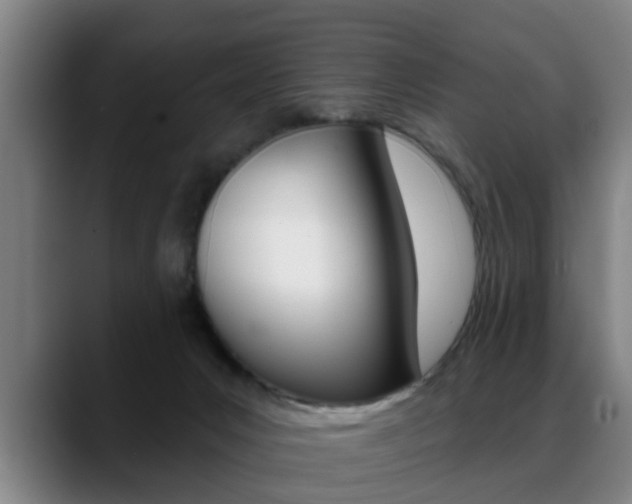 X0000089420031200706151012