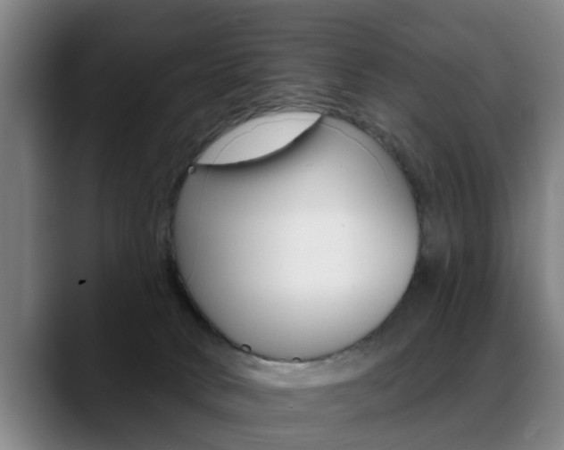 X0000089420034200706151012