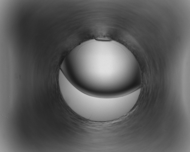 X0000089420037200706151011