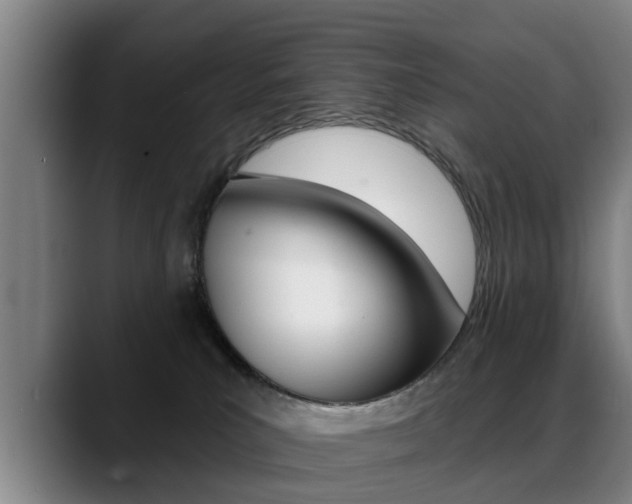 X0000089420039200706151011
