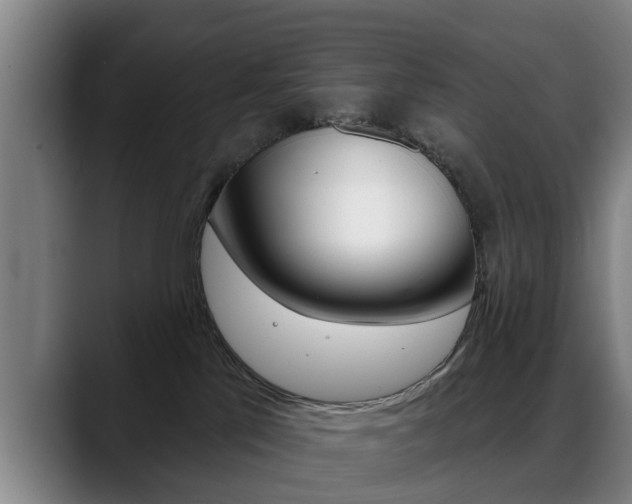 X0000089420041200706151011