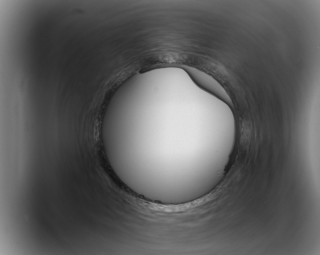 X0000089420043200706151011