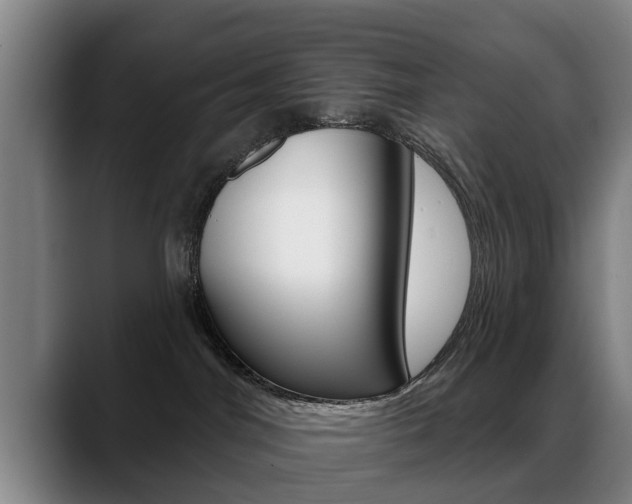 X0000089420044200706151011