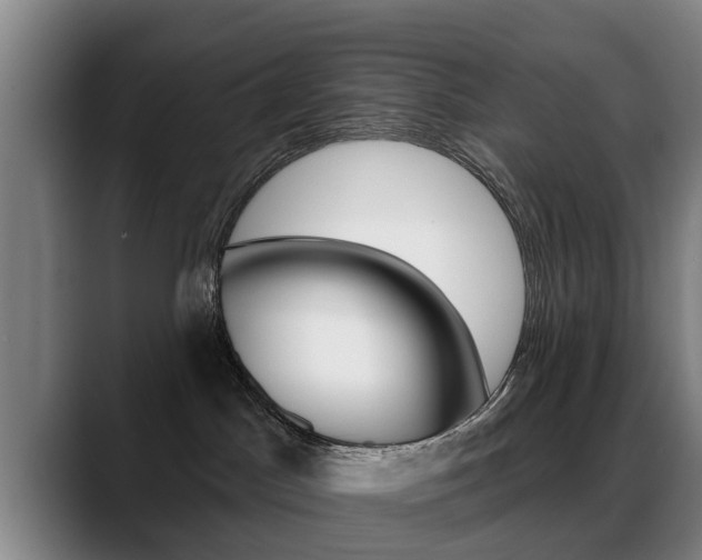 X0000089420045200706151011