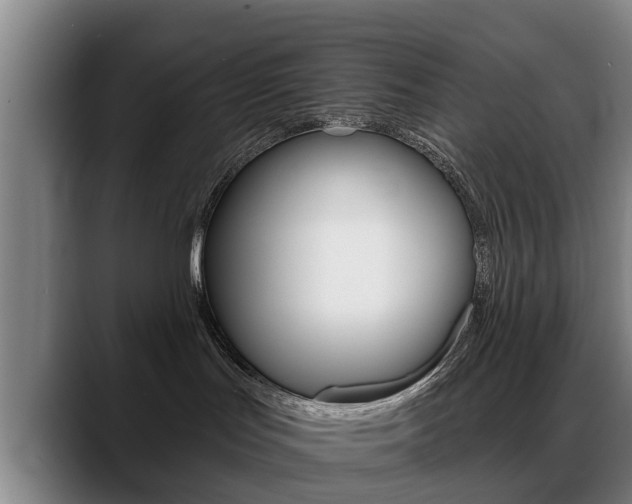 X0000089420047200706151011