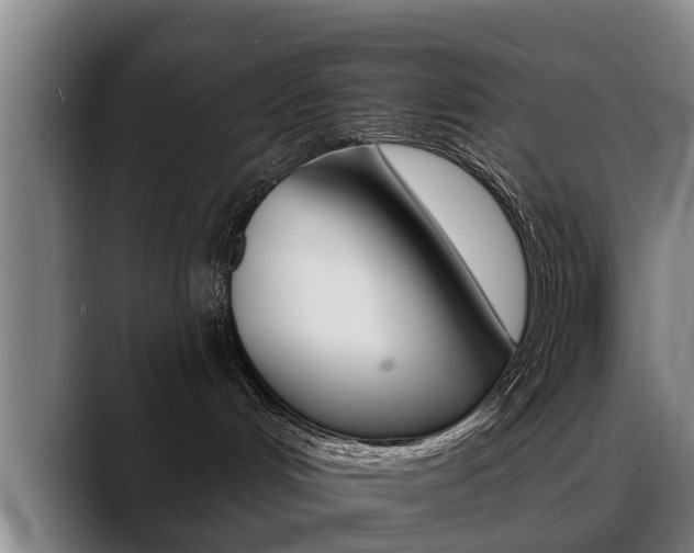 X0000089420048200706151011