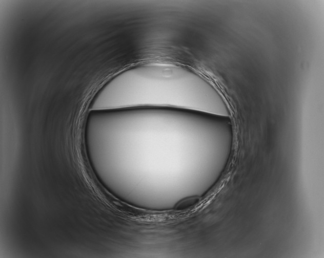 X0000089420049200706151011