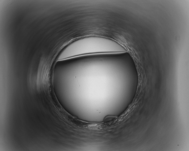 X0000089420050200706151011