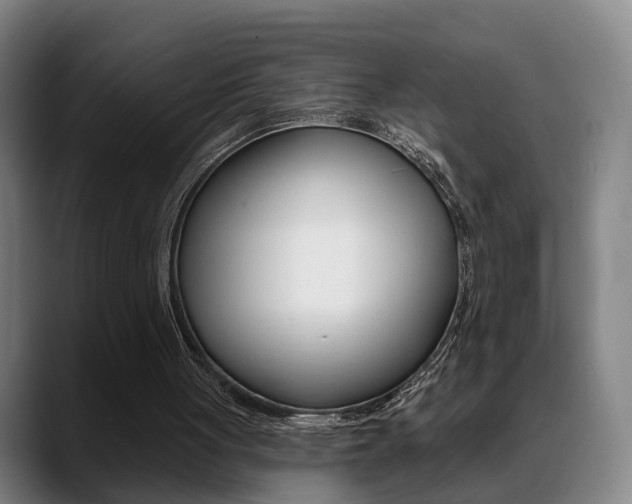 X0000089420051200706151011