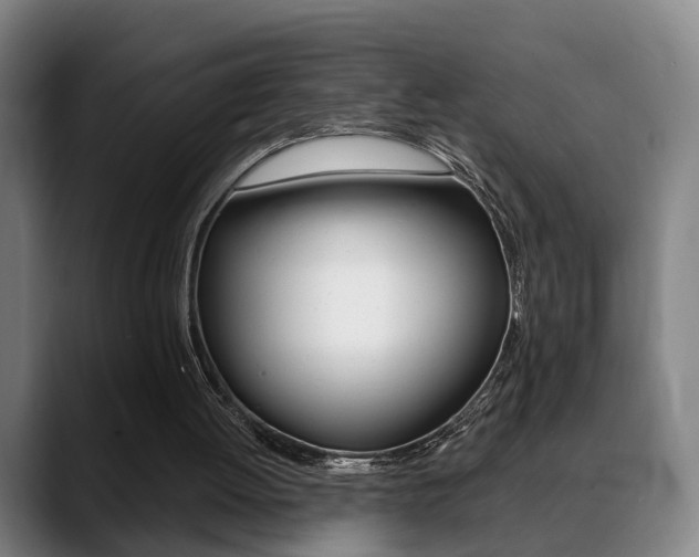 X0000089420052200706151011